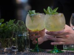 Gin: ele voltou em versões irresistíveis