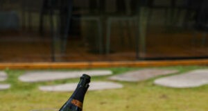 Nature Vinho & Gastronomia: junto a natureza Nature - Pinto Bandeira