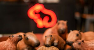 Capim Burger: ganhou o coração dos canoenses Capim Burger - Canoas