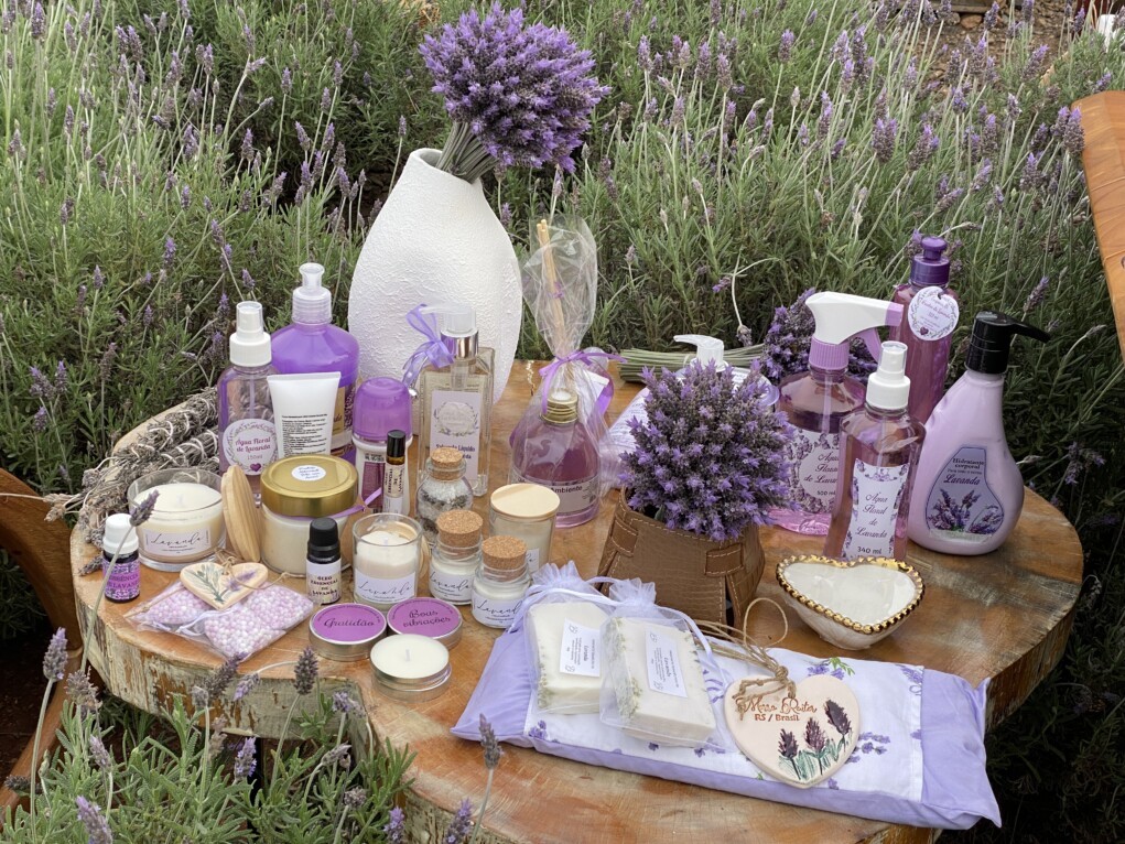Festa Nacional da Lavanda
