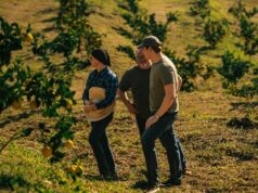 Famiglia Campani produz limoncello artesanal com limões de cultivo próprio Famiglia Campani